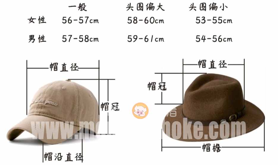 岭师健儿闪耀省大运会赛场