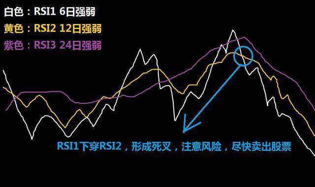 安徽省“科学名家”基层行活动首站走进池州