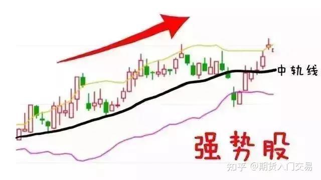 华南农业大学薛红卫：岭南特色是广东现代农业的“根与魂”