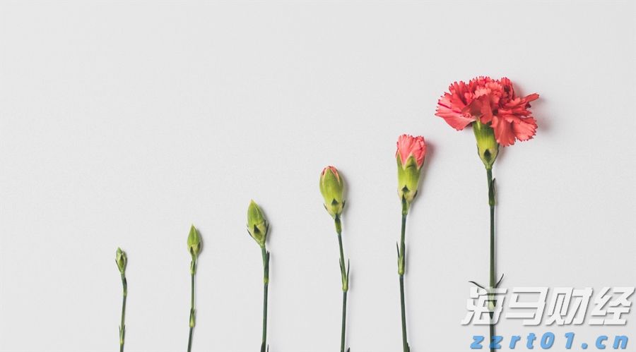 广西海事政务服务“就近代转办”第一单在我市办结