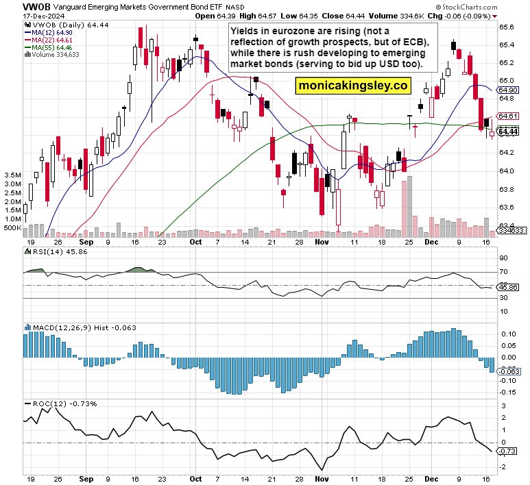 深耕创作沃土 讲好徐闻故事